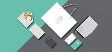 2017德国红点设计大奖（平面类）获奖作品完整版 设计洞察与翻译解读